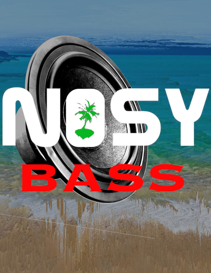 Nosy Bass